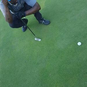 Meet your Posher, Cornell