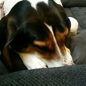 Meet your Posher, Joylene