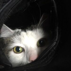 Meet your Posher, Patricia