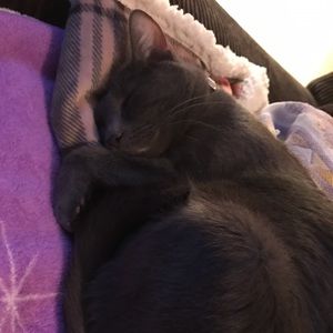 Meet your Posher, Libby