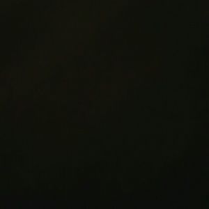 Meet your Posher, Sharonda