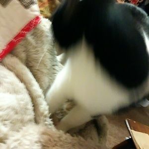 Meet your Posher, Ally