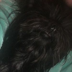 Meet your Posher, Ava