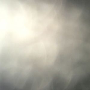 Meet your Posher, Paige