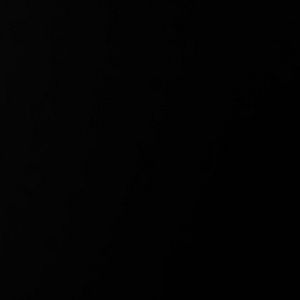 Meet your Posher, Darnell