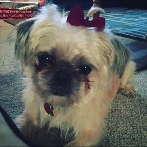 Meet your Posher, Angel