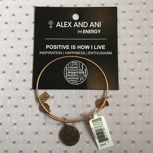 Alex and Ani positivity bracelet