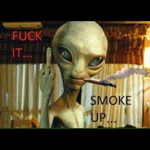 Meet your Posher, Axel