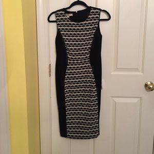 Evan Picone Classy dress