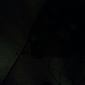 Meet your Posher, Alicia