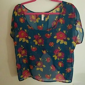 Sheer Teal Open Back cropped top