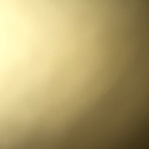 Meet your Posher, Artisha