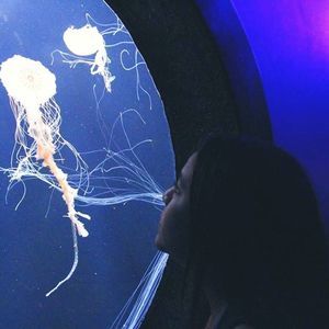 Meet your Posher, Ruby