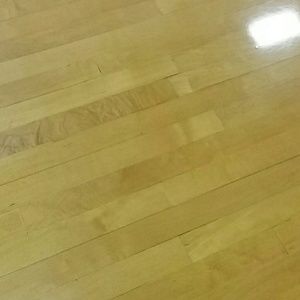 Meet your Posher, Jodie