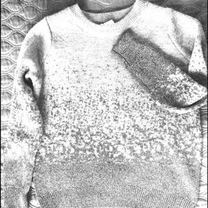 Brand New H&M Sparkle Accent Sweater