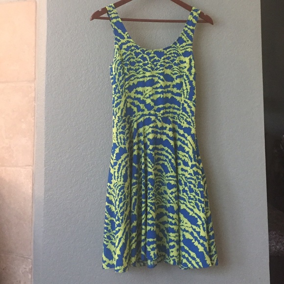 Spring Skater Dress 👗