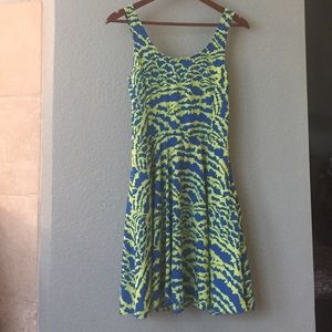 Spring Skater Dress 👗