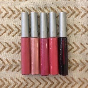 Lip Gloss and Tint Bundle