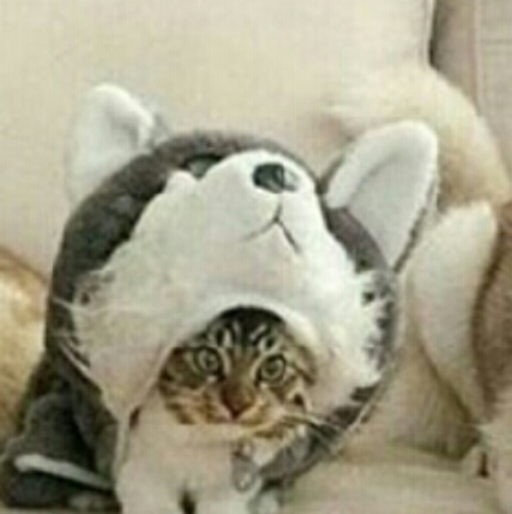 Meet your Posher, Lionel