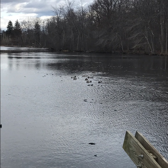 Meet your Posher, Nic - Picture 1 of 1