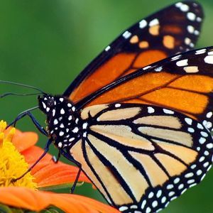 Meet your Posher, Lydia