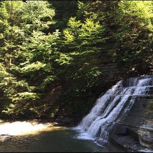 Meet your Posher, Julianna