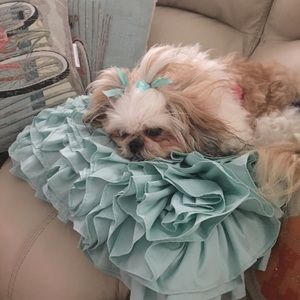 Meet your Posher, Connie