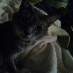 Meet your Posher, Nancy