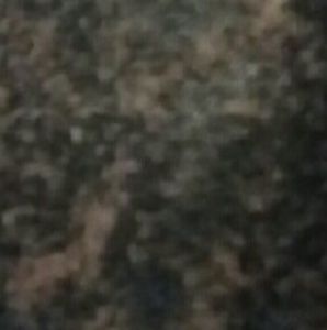 Meet your Posher, Gigi