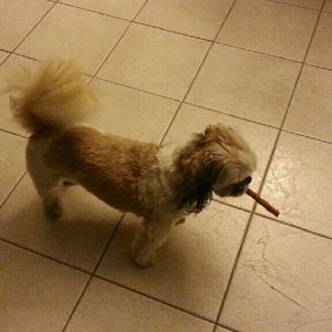 Meet your Posher, Kim