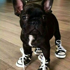 Meet your Posher, Erika