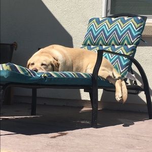 Meet your Posher, Sam