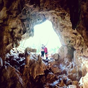 Meet your Posher, Molly