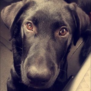 Meet your Posher, Kassie