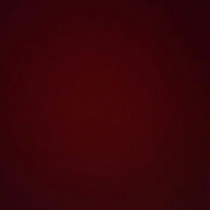 Meet your Posher, Peyton