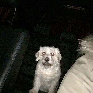 Meet your Posher, Jill