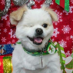 Meet your Posher, Jody