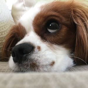 Meet your Posher, Greg