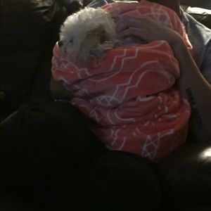 Meet your Posher, Mariya