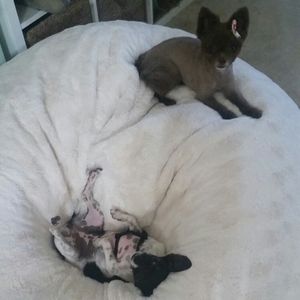 Meet your Posher, Caroline