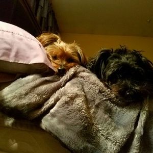 Meet your Posher, Zenda