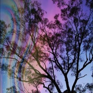 Meet your seller, lavenderstars