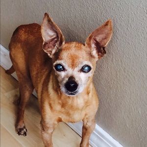 Meet your Posher, Issey