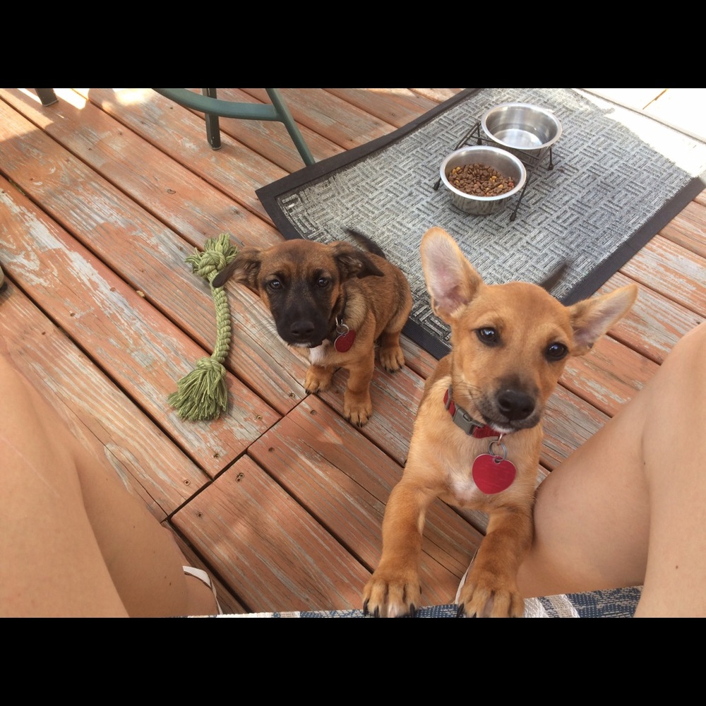 ABOUT ME 💞 - Picture 4 of 6