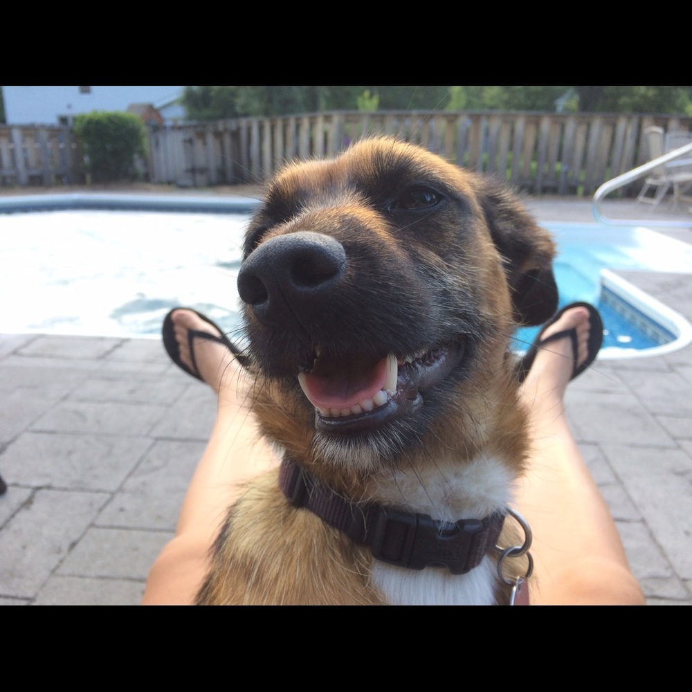 ABOUT ME 💞 - Picture 5 of 6