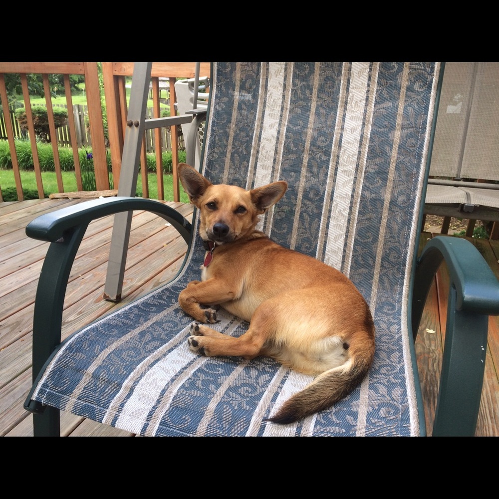 ABOUT ME 💞 - Picture 6 of 6