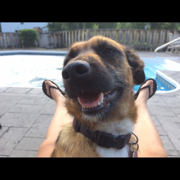 ABOUT ME 💞 - Picture 5 of 6