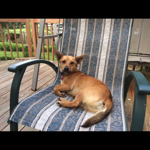 ABOUT ME 💞 - Picture 6 of 6