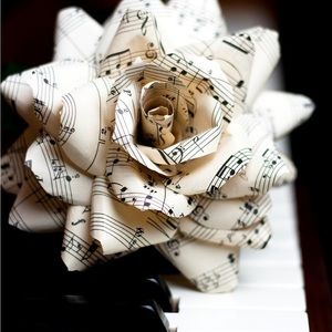 Meet your Posher, Katelyn