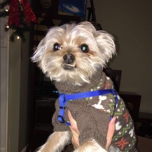 Meet your Posher, Hannah